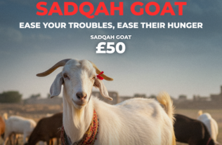 Sadqa Full Goat image