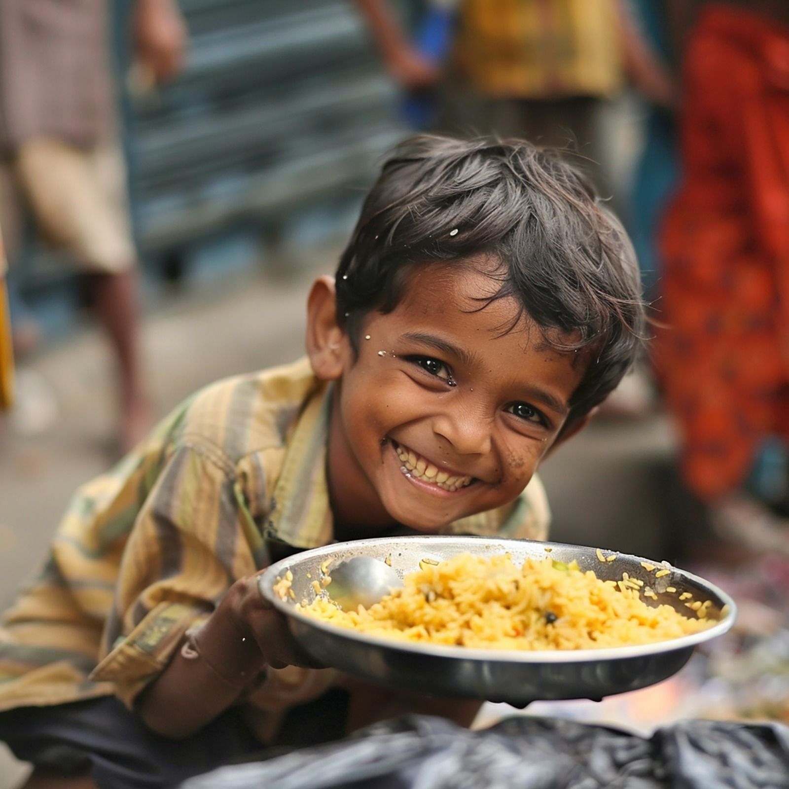 Biryani Daig Distribution